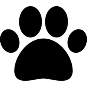 HAPPY PAWS