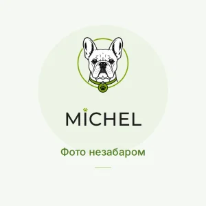 Заповнювач